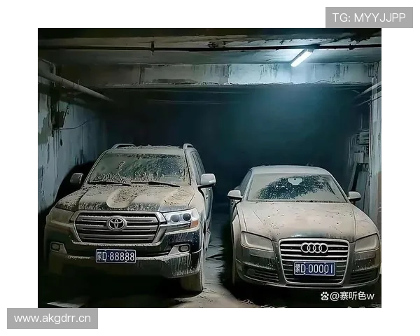 欧文训练完回家路上顺手买了辆布加迪，就为了配他车库那堆车的颜色